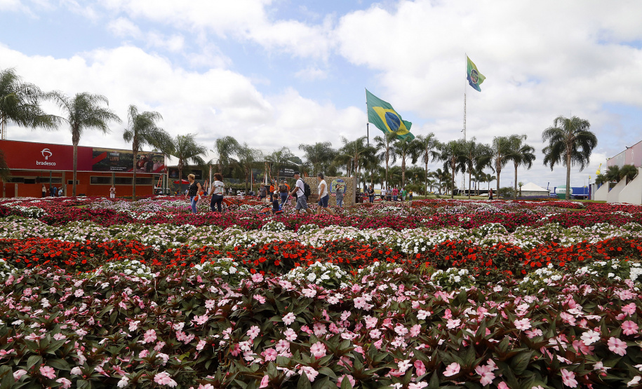 O governador Carlos Massa Ratinho Junior participa nesta quarta-feira (05) do Show Rural Coopavel, em Cascavel, no Oeste do Paraná. Às 15 horas, Ratinho Junior recebeu a imprensa para entrevista coletiva. O encontro será na estruturação de administração do evento. Em seguida, o governador visitará os estandes da feira.
Foto Gilson Abreu/Aen