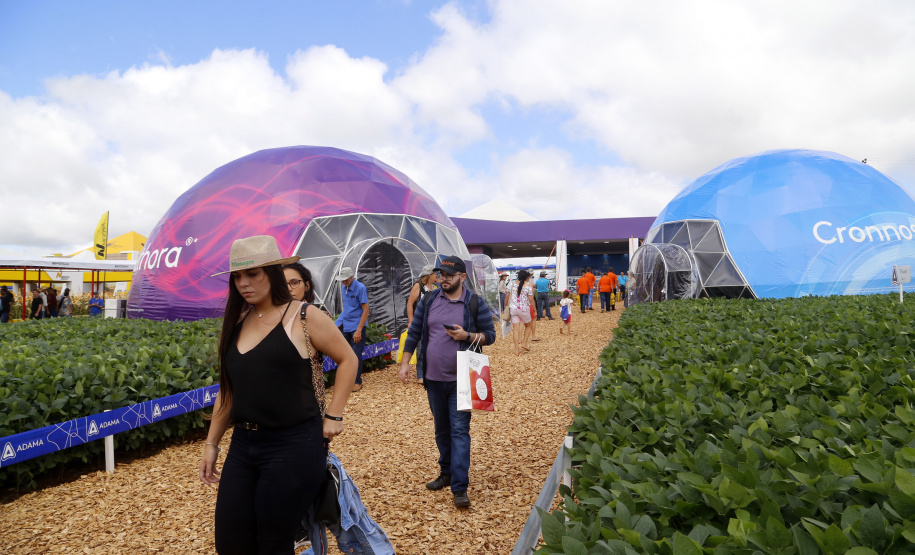 O governador Carlos Massa Ratinho Junior participa nesta quarta-feira (05) do Show Rural Coopavel, em Cascavel, no Oeste do Paraná. Às 15 horas, Ratinho Junior recebeu a imprensa para entrevista coletiva. O encontro será na estruturação de administração do evento. Em seguida, o governador visitará os estandes da feira.
Foto Gilson Abreu/Aen