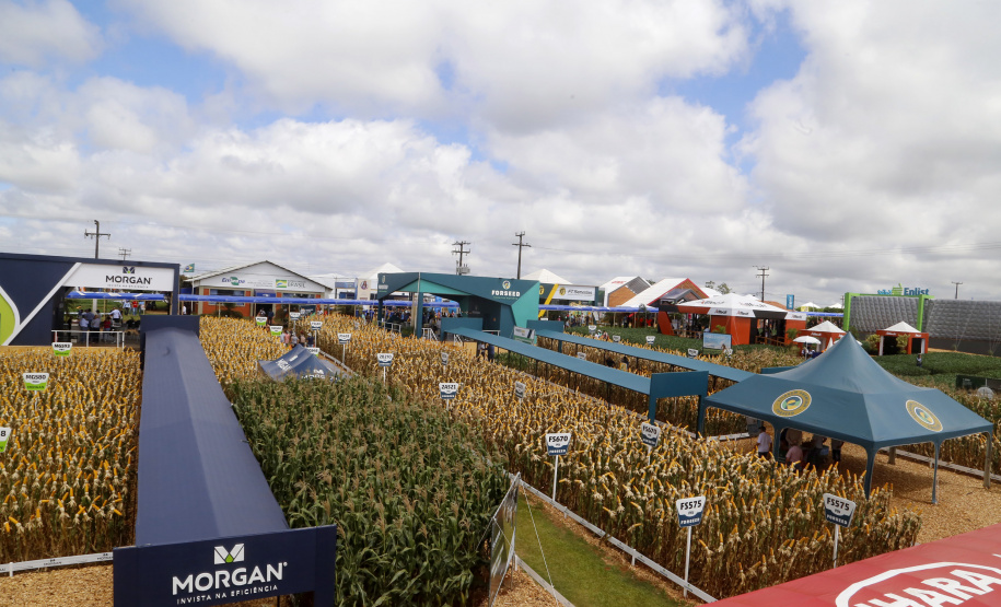 O governador Carlos Massa Ratinho Junior participa nesta quarta-feira (05) do Show Rural Coopavel, em Cascavel, no Oeste do Paraná. Às 15 horas, Ratinho Junior recebeu a imprensa para entrevista coletiva. O encontro será na estruturação de administração do evento. Em seguida, o governador visitará os estandes da feira.
Foto Gilson Abreu/Aen