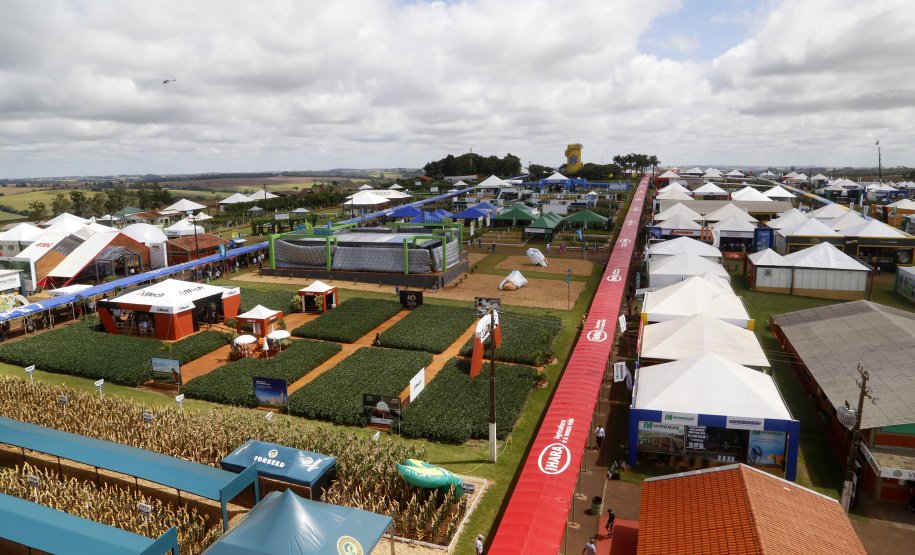 O governador Carlos Massa Ratinho Junior participa nesta quarta-feira (05) do Show Rural Coopavel, em Cascavel, no Oeste do Paraná. Às 15 horas, Ratinho Junior recebeu a imprensa para entrevista coletiva. O encontro será na estruturação de administração do evento. Em seguida, o governador visitará os estandes da feira.
Foto Gilson Abreu/Aen