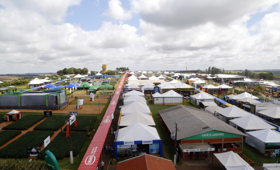 O governador Carlos Massa Ratinho Junior participa nesta quarta-feira (05) do Show Rural Coopavel, em Cascavel, no Oeste do Paraná. Às 15 horas, Ratinho Junior recebeu a imprensa para entrevista coletiva. O encontro será na estruturação de administração do evento. Em seguida, o governador visitará os estandes da feira.
Foto Gilson Abreu/Aen