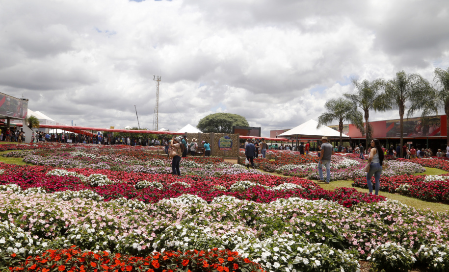 O governador Carlos Massa Ratinho Junior participa nesta quarta-feira (05) do Show Rural Coopavel, em Cascavel, no Oeste do Paraná. Às 15 horas, Ratinho Junior recebeu a imprensa para entrevista coletiva. O encontro será na estruturação de administração do evento. Em seguida, o governador visitará os estandes da feira.
Foto Gilson Abreu/Aen