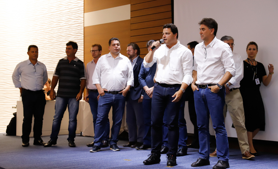 A Ferroeste (Estrada de Ferro Paraná Oeste S