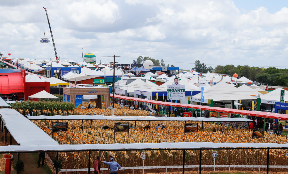 O governador Carlos Massa Ratinho Junior apresentou nesta quinta-feira (6) ao setor cooperativista o programa Descomplica Rural, criado para facilitar a emissão de licenciamentos ambientais. O objetivo é induzir o desenvolvimento sustentável com metodologia mais moderna, e permitir a geração de novos negócios e mais empregos no setor. A exposição detalhada das mudanças aconteceu na Casa Paraná Cooperativo, no Show Rural, em Cascavel.