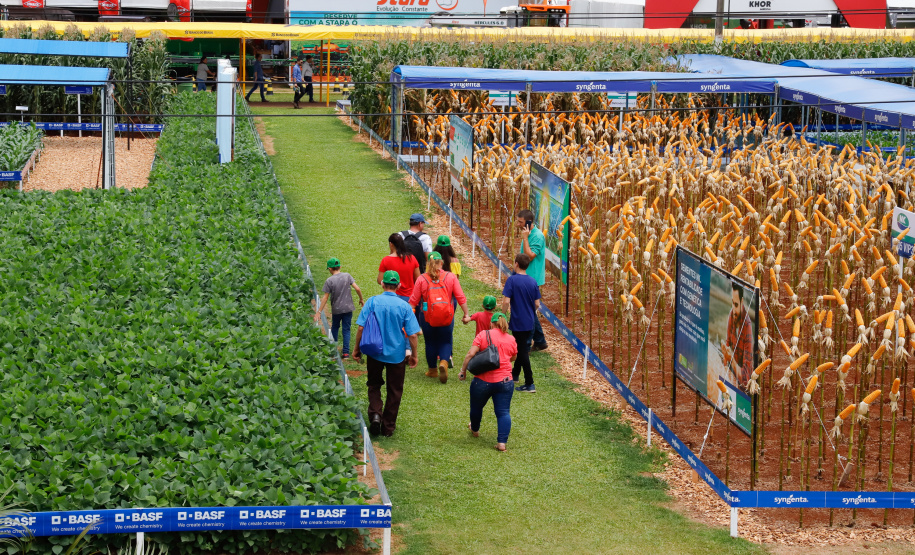 O governador Carlos Massa Ratinho Junior apresentou nesta quinta-feira (6) ao setor cooperativista o programa Descomplica Rural, criado para facilitar a emissão de licenciamentos ambientais. O objetivo é induzir o desenvolvimento sustentável com metodologia mais moderna, e permitir a geração de novos negócios e mais empregos no setor. A exposição detalhada das mudanças aconteceu na Casa Paraná Cooperativo, no Show Rural, em Cascavel.