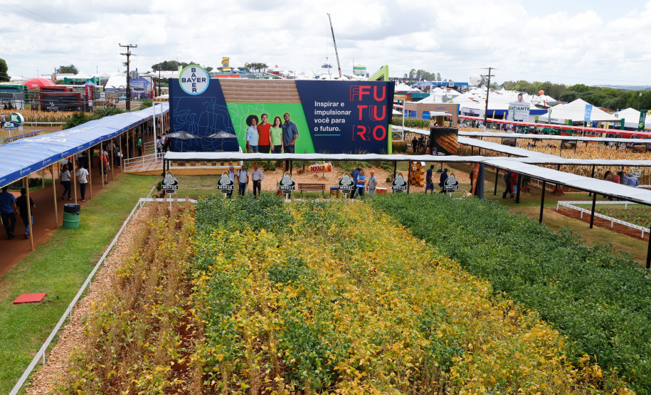 O governador Carlos Massa Ratinho Junior apresentou nesta quinta-feira (6) ao setor cooperativista o programa Descomplica Rural, criado para facilitar a emissão de licenciamentos ambientais. O objetivo é induzir o desenvolvimento sustentável com metodologia mais moderna, e permitir a geração de novos negócios e mais empregos no setor. A exposição detalhada das mudanças aconteceu na Casa Paraná Cooperativo, no Show Rural, em Cascavel.