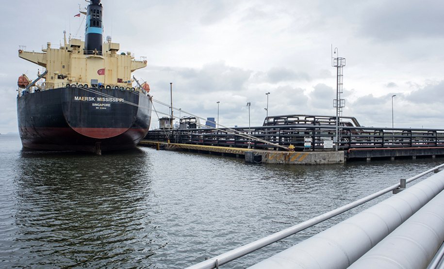 Os portos de Paranaguá e Antonina movimentaram 3,44 milhões de toneladas de carga nos primeiros 31 dias do ano. Janeiro foi um mês de alta nos volumes de carga geral e granéis líquidos, tanto importação quanto exportação. Os terminais paranaenses apostam na multimodalidade e tiveram destaque no embarque de açúcar em saca, contêineres, óleo vegetal e derivados de petróleo.  -  Paranaguá, 20/02/2020  -  Foto: Claudio Neves/Portos do Paraná