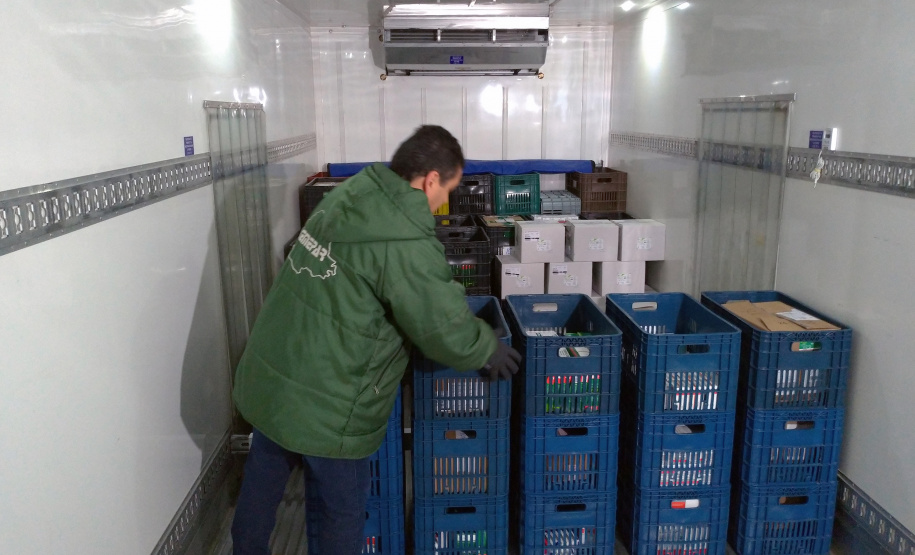 A Campanha Nacional de vacinação contra o sarampo começa nesta segunda-feira (10) e segue até o dia 13 de março. O dia D de mobilização nacional será neste sábado (15), e a vacina já está disponível em todas as Unidades Básicas de Saúde (UBS) do Estado.  -  Curitiba, 10/02/2020  -  Foto: Américo Antonio/SESA