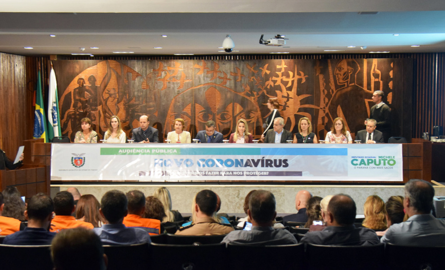 Objetivo foi informar sobre as ações que o Brasil e o Paraná estão tomando e alertar como as pessoas podem se proteger da doença. Representante do Ministério da Saúde destacou a organização do Paraná. Foto: SESA