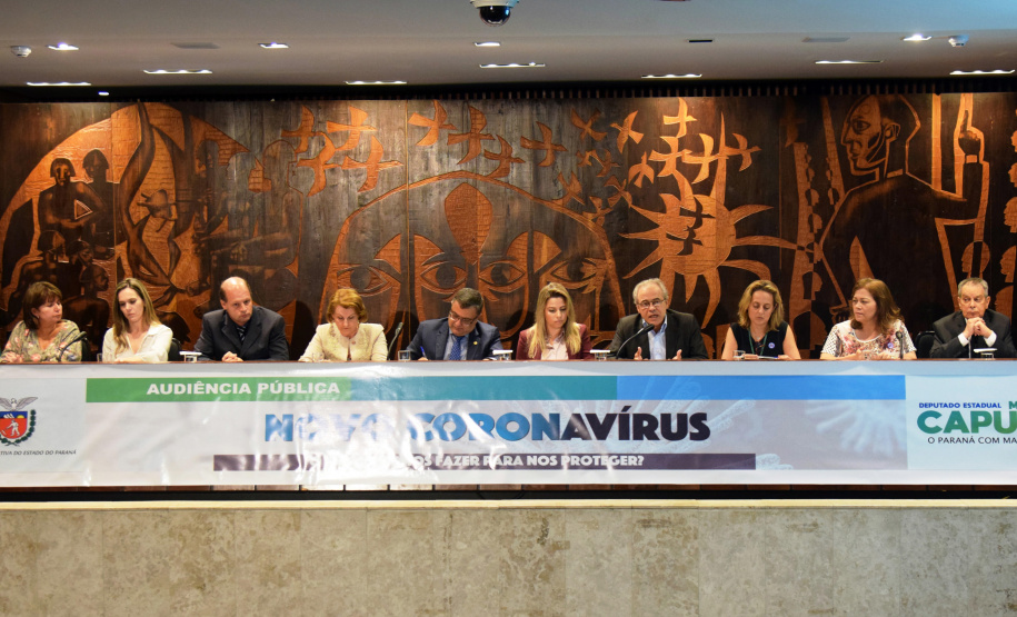 Objetivo foi informar sobre as ações que o Brasil e o Paraná estão tomando e alertar como as pessoas podem se proteger da doença. Representante do Ministério da Saúde destacou a organização do Paraná. Foto: SESA