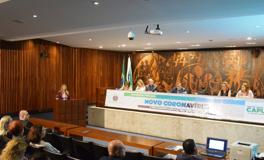Objetivo foi informar sobre as ações que o Brasil e o Paraná estão tomando e alertar como as pessoas podem se proteger da doença. Representante do Ministério da Saúde destacou a organização do Paraná. Foto: SESA
