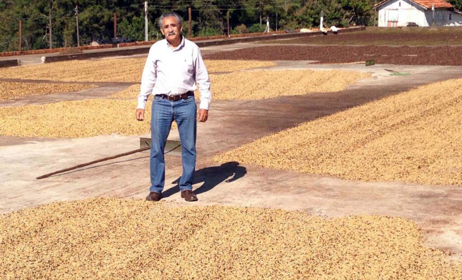 Os cafés finalistas foram avaliados por um júri técnico composto por provadores e especialistas, responsáveis por 90% da nota final, enquanto o critério de Sustentabilidade corresponde aos 10% restantes. Foto: SEAB