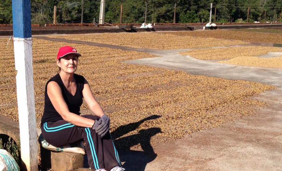 Os cafés finalistas foram avaliados por um júri técnico composto por provadores e especialistas, responsáveis por 90% da nota final, enquanto o critério de Sustentabilidade corresponde aos 10% restantes. Foto: SEAB