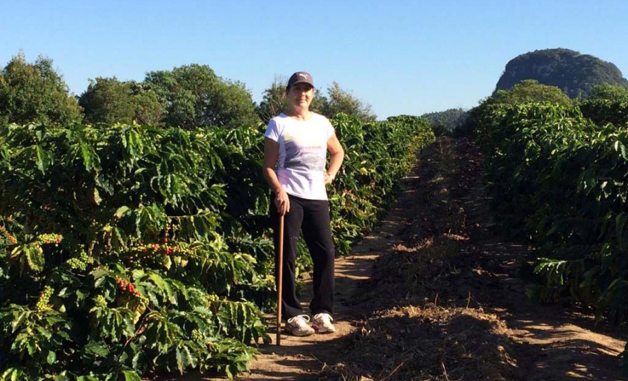 Os cafés finalistas foram avaliados por um júri técnico composto por provadores e especialistas, responsáveis por 90% da nota final, enquanto o critério de Sustentabilidade corresponde aos 10% restantes. Foto: SEAB