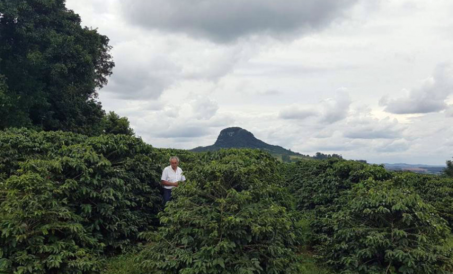 Os cafés finalistas foram avaliados por um júri técnico composto por provadores e especialistas, responsáveis por 90% da nota final, enquanto o critério de Sustentabilidade corresponde aos 10% restantes. Foto: SEAB