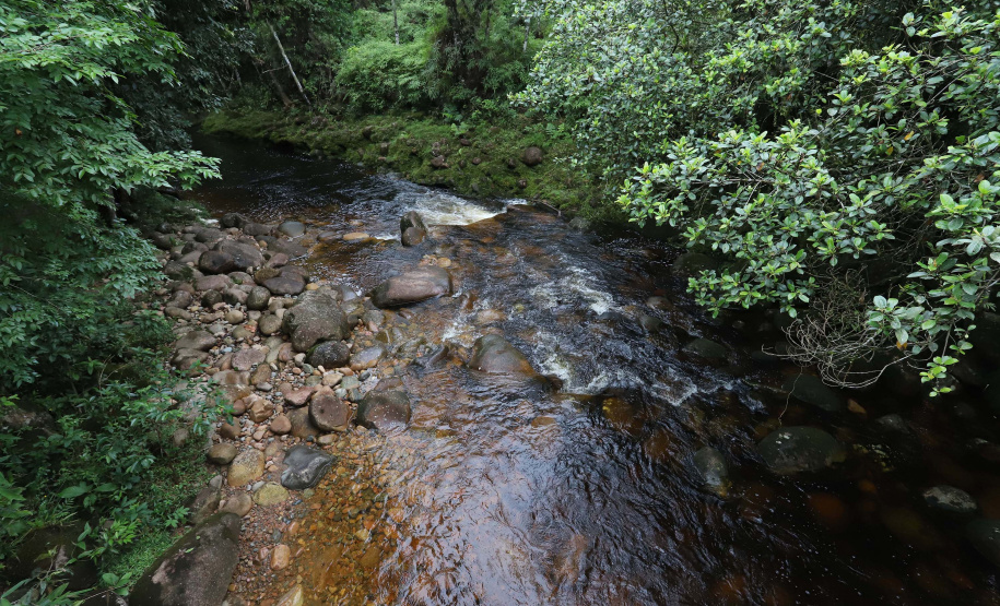 Morretes - Rio Iporanga.Morretes, 17-01-20.Foto: Arnaldo Alves / AEN.