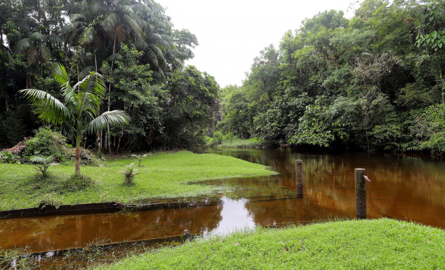 Reduto da imigração japonesa no Paraná. N/F: Márcia Ito.Antonina, 18-01-20.Foto: Arnaldo Alves / AEN.
