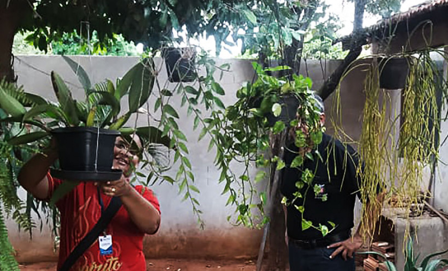 Força-tarefa de combate à dengue percorre o Noroeste do Paraná. Foto:SESA
