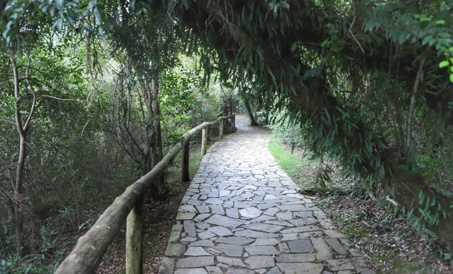 O governador Carlos Massa Ratinho Junior assinou nesta quarta-feira (19) o contrato de concessão de áreas do Parque Estadual Vila Velha, em Ponta Grossa, nos Campos Gerais, para a empresa Eco Parques do Brasil S/A. A empresa vai investir em serviços de apoio à visitação, turismo sustentável e recreação é de trinta anos. Foto: José Fernando Ogura/AEN