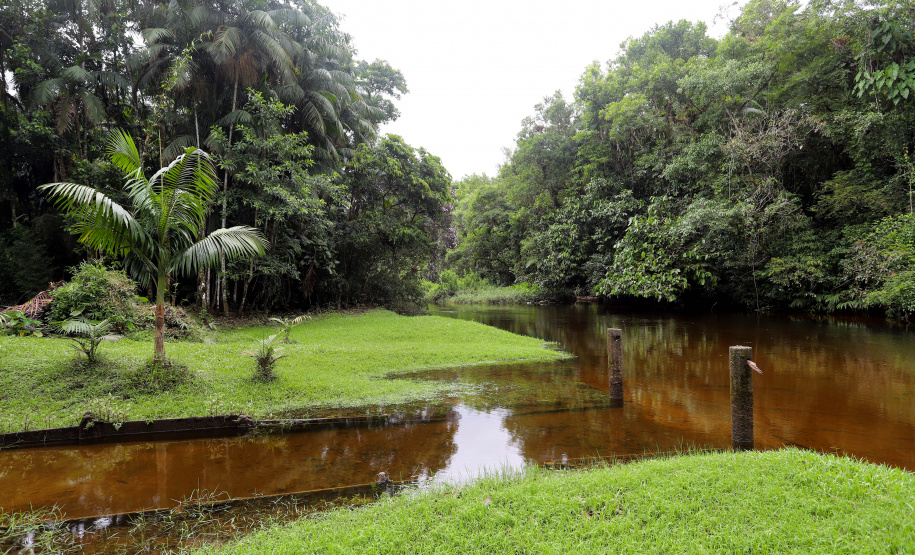 Reduto da imigração japonesa no Paraná. N/F: Márcia Ito.Antonina, 18-01-20.Foto: Arnaldo Alves / AEN.