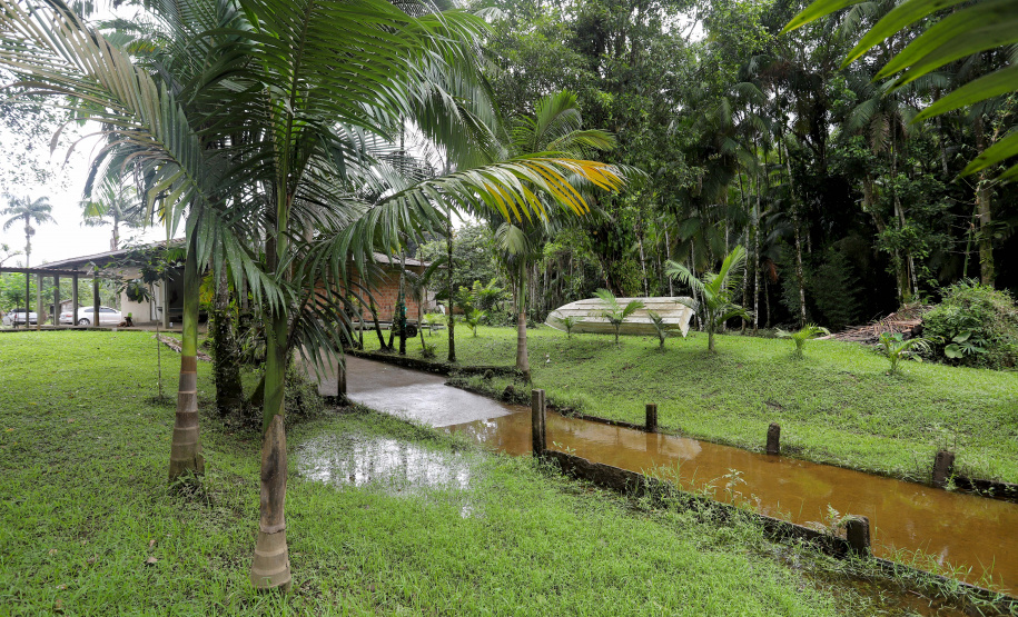 Reduto da imigração japonesa no Paraná. N/F: Márcia Ito.Antonina, 18-01-20.Foto: Arnaldo Alves / AEN.