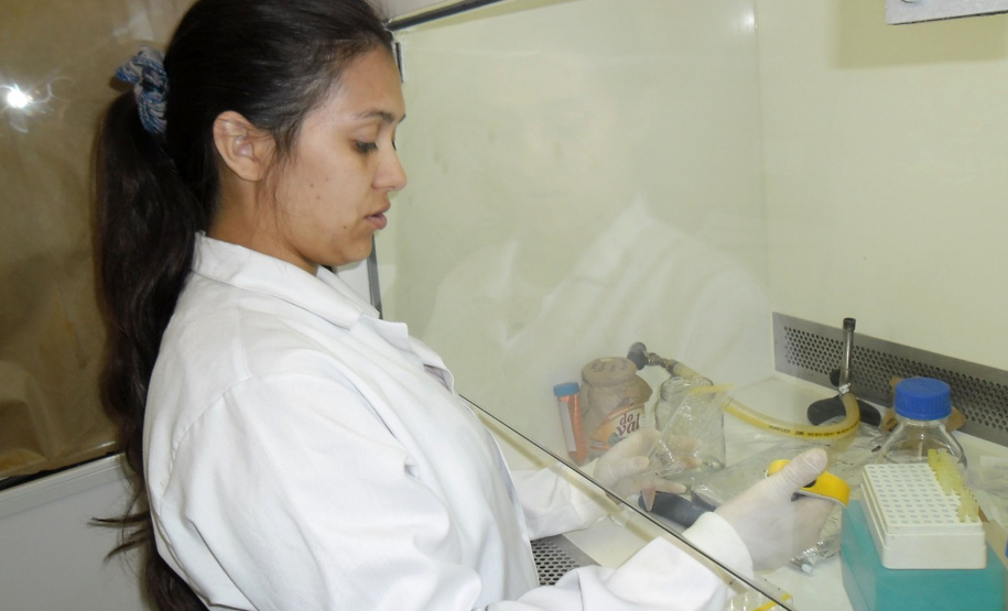 Pesquisadores destacam fomento
à pesquisa no combate ao câncer. Foto:SESA