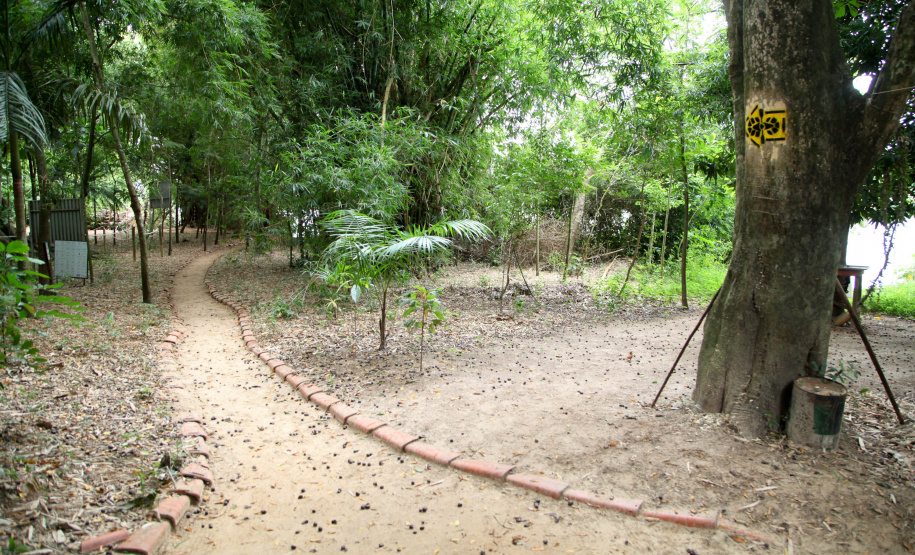 Ilhas, trilhas e praias cristalinas formam as belezas do Rio Paraná.Guaíra - Foto: Ari Dias/AEN