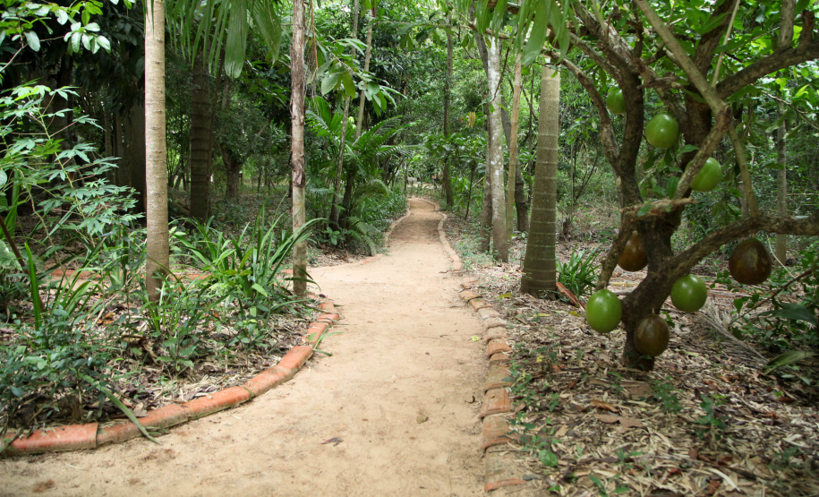 Ilhas, trilhas e praias cristalinas formam as belezas do Rio Paraná.Guaíra - Foto: Ari Dias/AEN