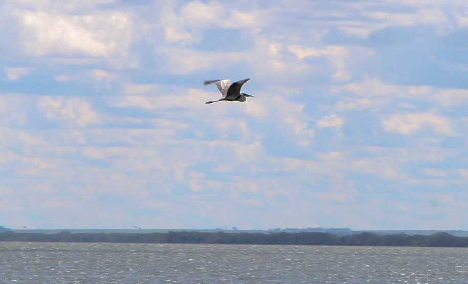 Ilhas, trilhas e praias cristalinas formam as belezas do Rio Paraná.Icaraíma - Foto: Ari Dias/AEN