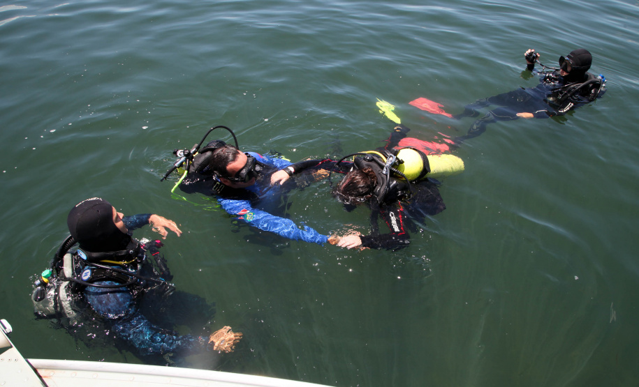 Ilhas, trilhas e praias cristalinas formam as belezas do Rio Paraná. Porto Rico - Foto: Ari Dias/AEN