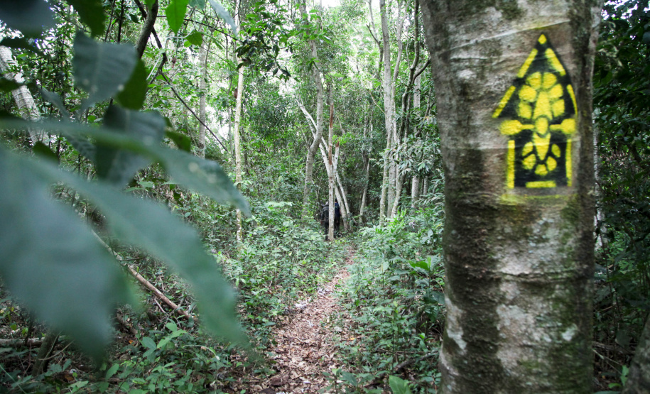 O Rio Paraná vai ganhar a Rota dos Pioneiros. O rio que dá nome ao Estado sempre foi uma importante rota de navegação. Ao longo dos séculos, indígenas, espanhóis, jesuítas, bandeirantes e migrantes de diferentes nacionalidades atravessaram as águas do Rio Paraná para encontrar em suas margens terras férteis para viver, explorar e conquistar.Foto: Ari Dias/AEN