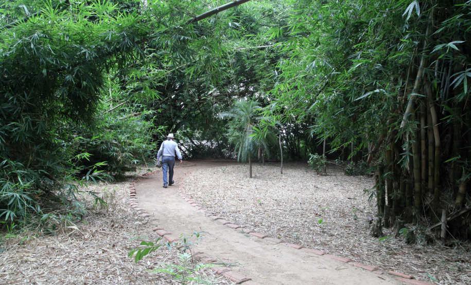 O Rio Paraná vai ganhar a Rota dos Pioneiros. O rio que dá nome ao Estado sempre foi uma importante rota de navegação. Ao longo dos séculos, indígenas, espanhóis, jesuítas, bandeirantes e migrantes de diferentes nacionalidades atravessaram as águas do Rio Paraná para encontrar em suas margens terras férteis para viver, explorar e conquistar.Foto: Ari Dias/AEN