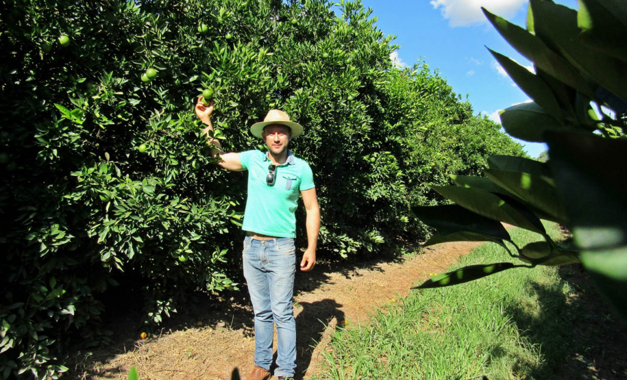 Lodo de esgoto beneficia pequenos agricultores no Paraná. Foto:Sanepar