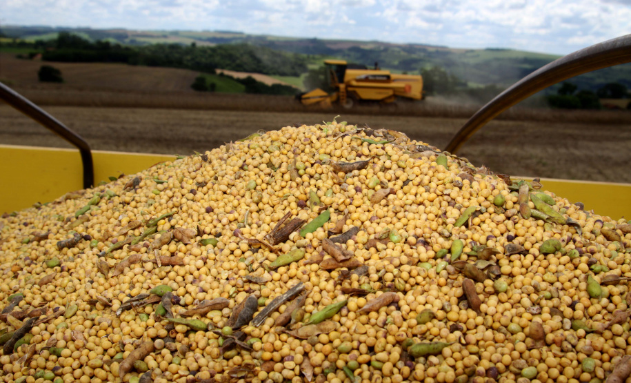 VBP agropecuário do Paraná de 2019 pode atingir R$ 93 bilhões. Foto: Jonas Oliveira/Arquivo/AEN