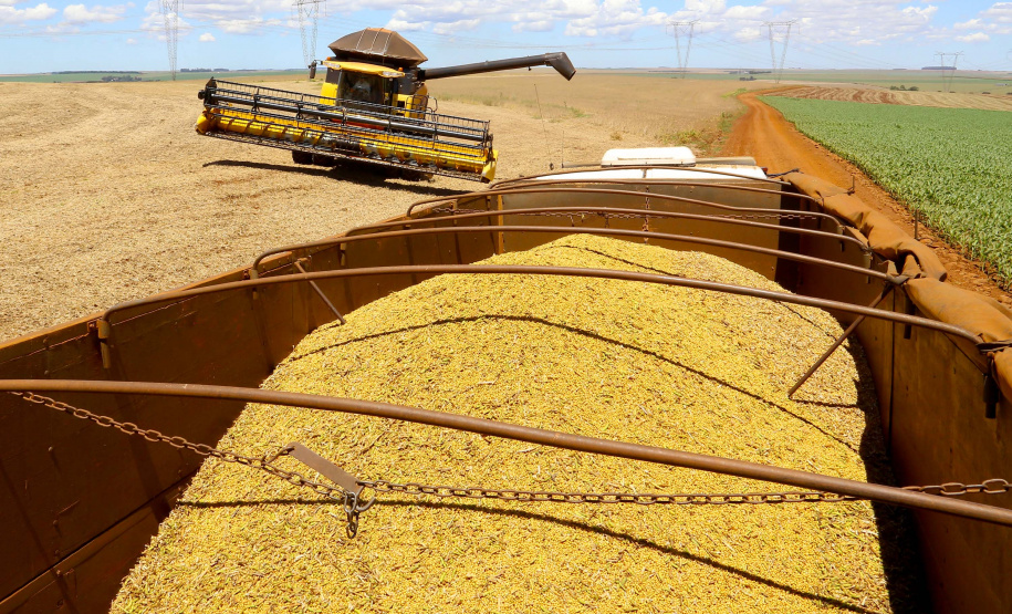 VBP agropecuário do Paraná de 2019 pode atingir R$ 93 bilhões. Fotos:Jaelson Lucas / AEN
