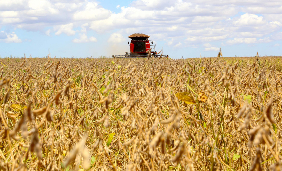 VBP agropecuário do Paraná de 2019 pode atingir R$ 93 bilhões. Foto: Jaelson Lucas/AEN