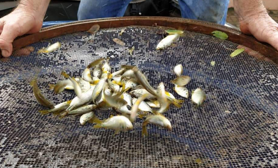 Poços e fossas com focos do mosquito da dengue estão sendo aterrados. Foto:Leandro Mello/Prefeitura de Barbosa Ferraz