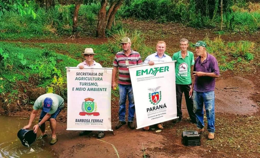 A Secretaria Municipal de Agricultura, Turismo e Meio Ambiente, com o apoio do Instituto de Desenvolvimento Rural do Paraná – Iapar-Emater e outros parceiros, está capturando alevinos de lambari no Lago do Parque Verde Vida e soltando em locais de proliferação do mosquito identificados pela Secretaria Municipal da Saúde. Os alevinos se alimentam das larvas, evitando que elas cheguem à fase adulta.Foto:Leandro Mello/Prefeitura de Barbosa Ferraz