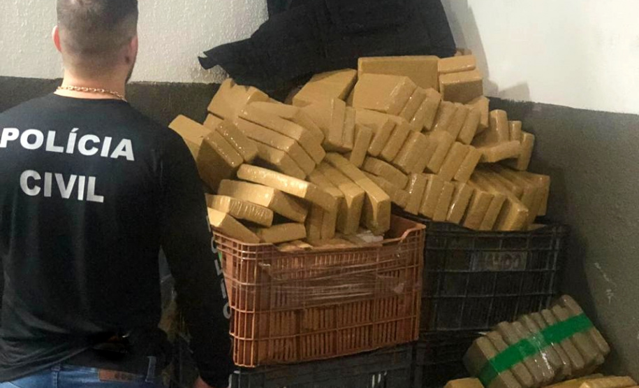 Polícia Civil registra aumento de 14% na apreensão de drogas. Foto: Polícia Civil