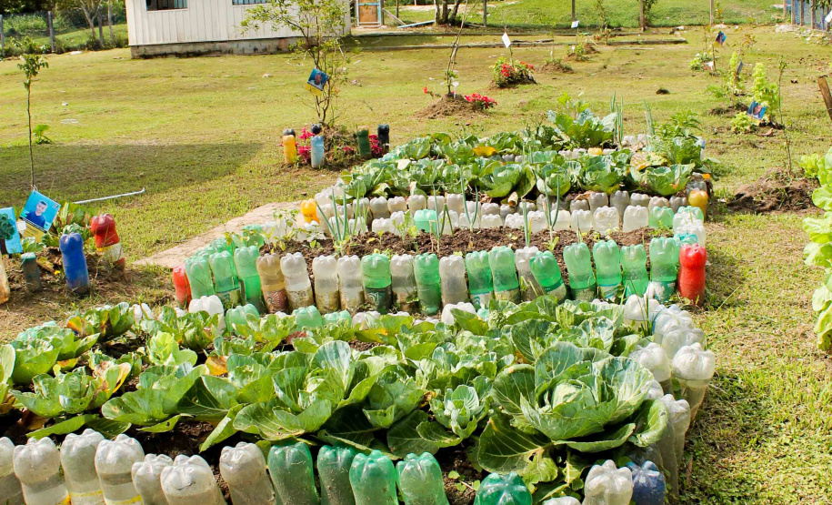 Escolas do Paraná são espaço de aprendizagem e acolhimento. Foto: Silvio Turra/SEED