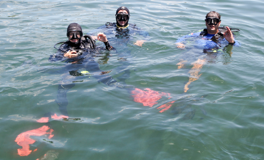 A paisagem do rio Paraná é cinematográfica. Os quilômetros que separam uma margem da outra são uma imensidão de tons de verde, mesclando na água as cores das árvores que povoam as centenas de ilhas locais. De perto, o verde da água se torna transparente, cristalino, despertando a curiosidade para as profundezas do segundo maior rio da América do Sul. Foto: Ari Dias/AEN