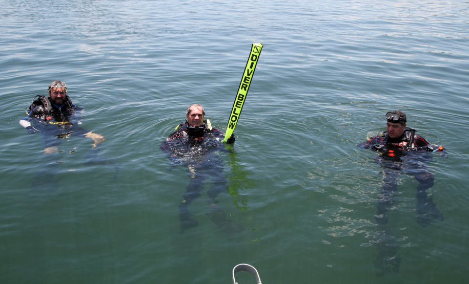 A paisagem do rio Paraná é cinematográfica. Os quilômetros que separam uma margem da outra são uma imensidão de tons de verde, mesclando na água as cores das árvores que povoam as centenas de ilhas locais. De perto, o verde da água se torna transparente, cristalino, despertando a curiosidade para as profundezas do segundo maior rio da América do Sul. Foto: Ari Dias/AEN