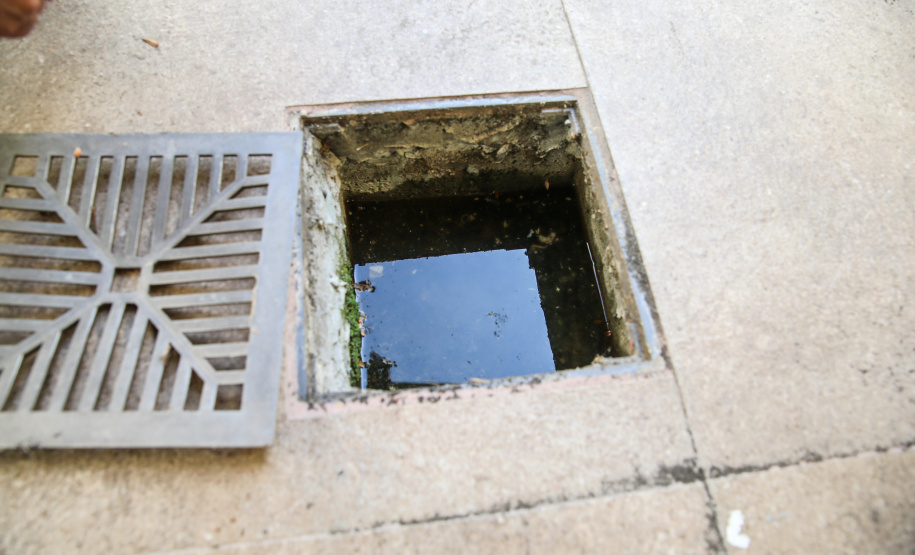 Paraná vai mobilizar mais de 700 pessoas contra a dengue no sábado.  Foto: Geraldo Bubniak/AEN
