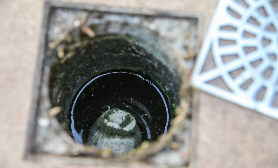 Estado fará mutirão da dengue neste sábado em 17 municípios. Foto: Geraldo Bubniak/AEN