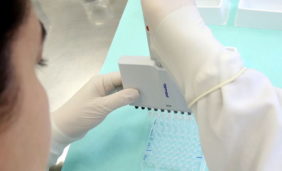 Foto:Jaelson Lucas /AEN