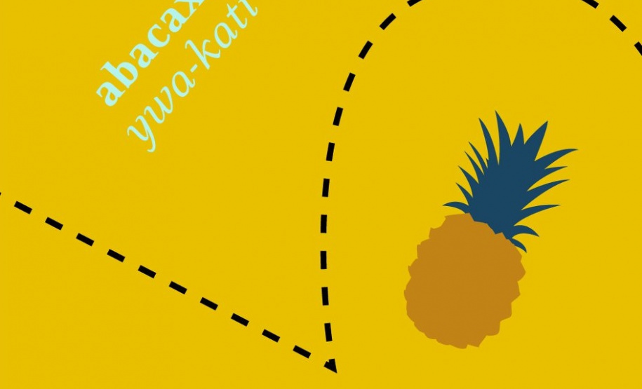 Museu Paranaense disponibiliza jogo da memória com palavras indígenas.Fotos: Ingrid Schmaedecke/MUPA