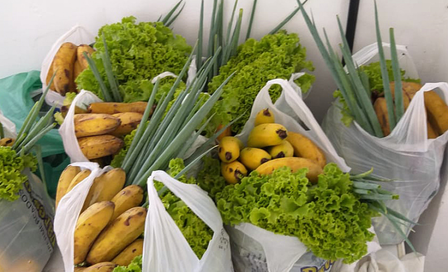 As mudanças de atitude da sociedade provocadas pelo novo coronavírus não paralisaram as atividades de associações de produtores rurais, responsáveis pela alimentação, sobretudo de famílias mais carentes. O comprometimento também mantém em atividade centenas de servidores estaduais que ajudam na tarefa de forma presencial ou em teletrabalho. Foto:SEAB