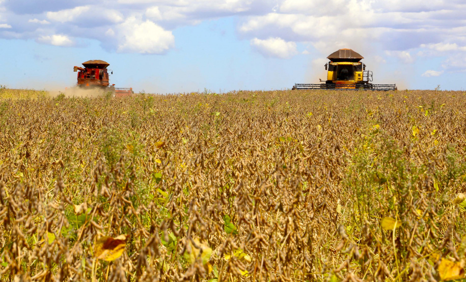 Paraná deverá produzir 41,2 milhões de toneladas de grãos. Fotos:Jaelson Lucas / AEN