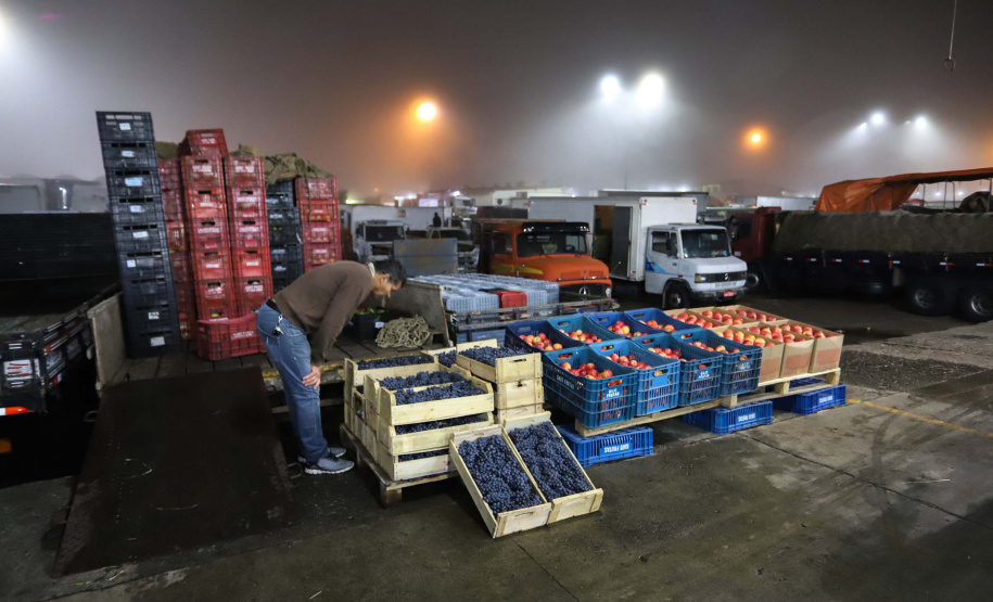 Apoio e planejamento do Estado garantem abastecimento de alimentos.Foto: Arnaldo Alves / AEN