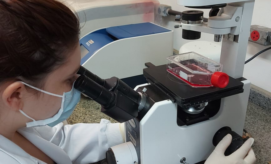 Universidades estaduais iniciam processo para fazer exames do coronavírus.
Foto: Divulgação/Fundção Araucária